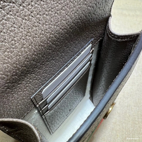 Hyperpeter detachable GUCCI GG wallet Ophidia and bag mini 0810